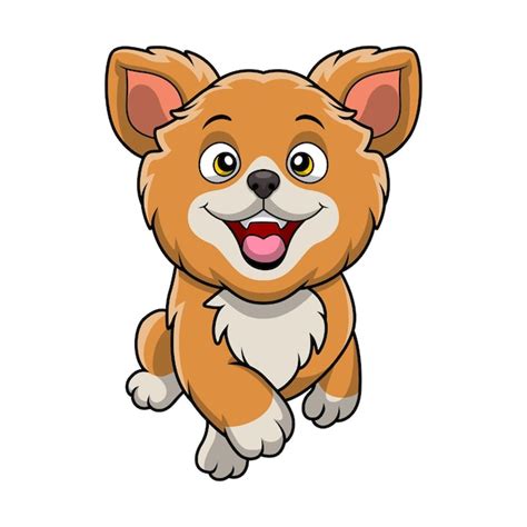 Caricatura De Lindo Perro Pomerania Sobre Fondo Blanco Vector Premium