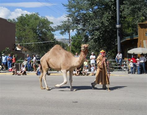 Theme Announced For Fair Rodeo Parade Sheridan Media