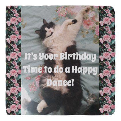 Tuxedo Cat Cute Funny Cats Happy Birthday Trivet Cats Sleeping Funny