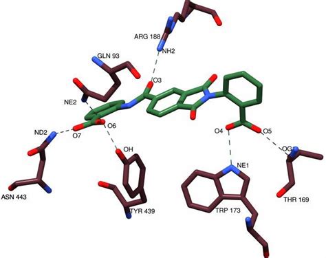 A H Bond Interactions Of Compound 1 With The Active Site Residues Of