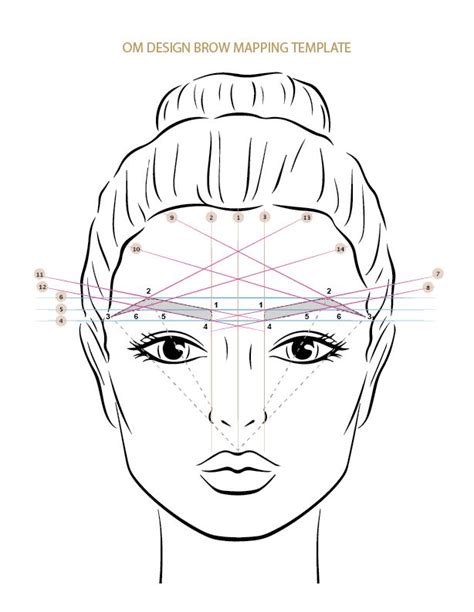 Level 10 Brow Mapping String Paper OM Student Portal Wenkbrauwen