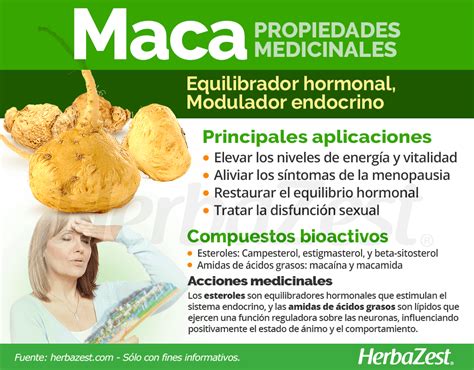 Maca Herbazest