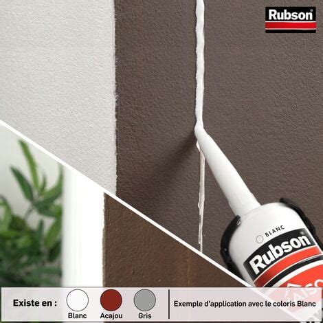 Rubson Lot de 2 Mastic Maison Acrylique Murs Fenêtres mastic