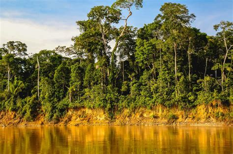 El Parque Nacional del Manu celebra 50 años como área protegida