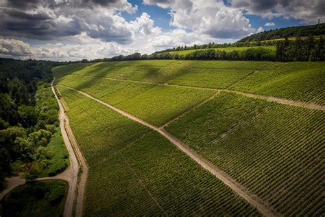 Weingut Maximin Grünhaus Maximin von Schubert