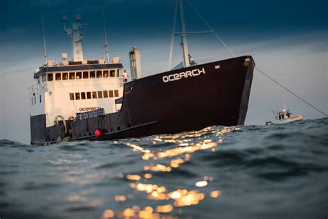 OCEARCH Launches Meet a Shark Sweepstakes, Giving individuals the opportunity to Join Them on An ...