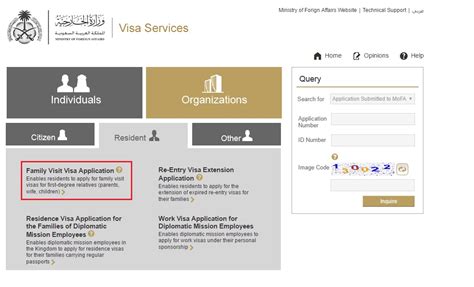 How To Process Visit Visa In Saudi Arabia Step By Step