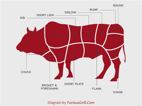 Beef Cuts Chart Locations Diagrams And Cooking Tips For All Cuts