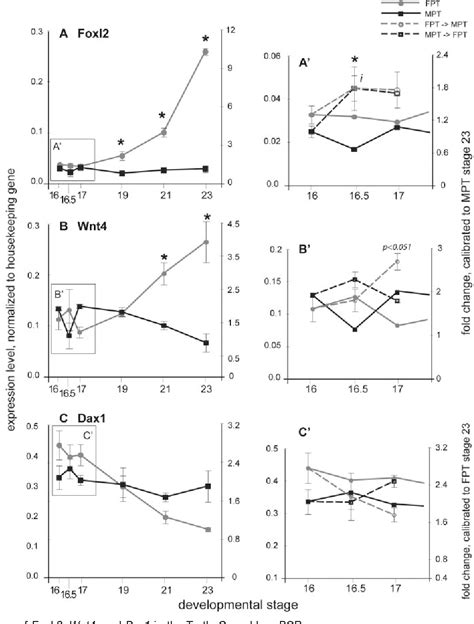 Pdf Response Of Candidate Sex Determining Genes To Changes In