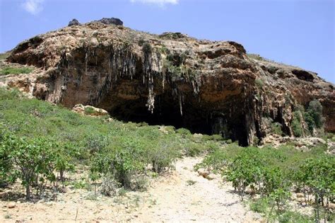 Halah Cave Socotra | Socotra, Landscape, Natural landmarks