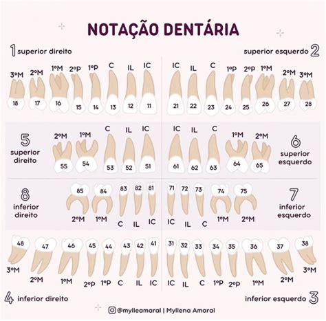 Pin By Martha Queiroz On Odonto Dentistry Dental Images Dentist