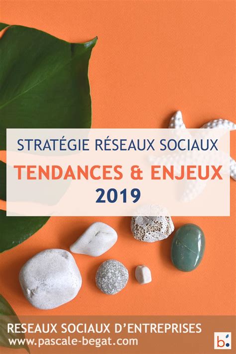 Strategie Reseaux Sociaux Entreprise Enjeux Et Tendances 2019