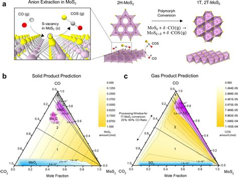 T Phase Transition Metal Dichalcogenides For Hydrogen Evolution