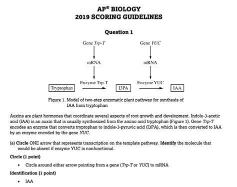 Ap Biology Water Potential Frq