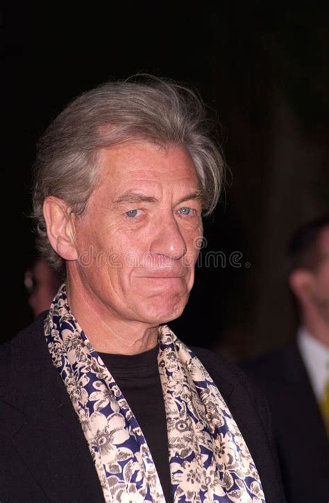 Mckellen Ian Editorial Photo Image Of Medieval Party 36734591