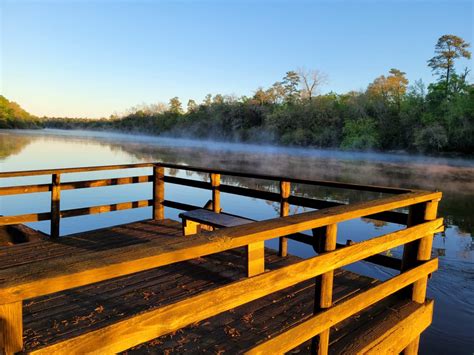 Riverside Escape Hipcamp In Mayo Florida