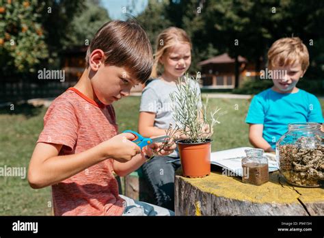 Kids learning together at a natural science class. Side view of a ...