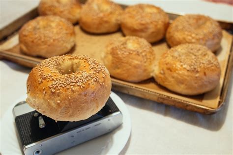 무료 이미지 씨 요리 아침 식사 빵 굽기 디저트 구운 것 베이글 M42 Primelens 참깨 삶은 것