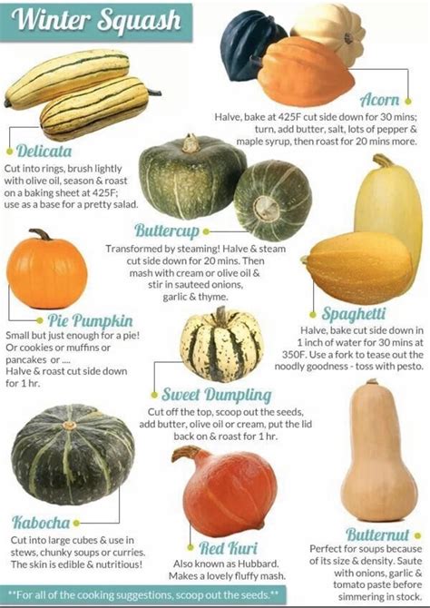 Pin on Vegetables | Winter squash recipes, Squash recipes, Vegetable ...