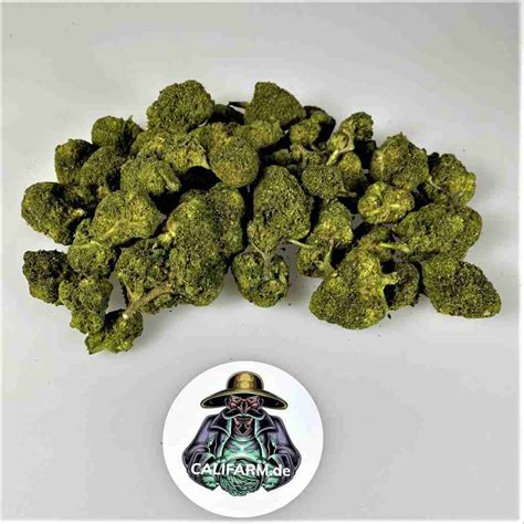 Hhc Blüten Purple Haze 15 Hhc P Hhc And Thc Derivate Eu Legal