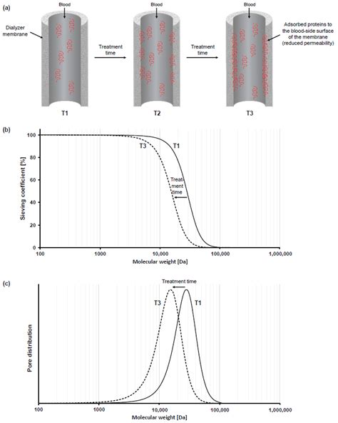 Membranes Free Full Text Impact Of Hydrophilic Modification Of