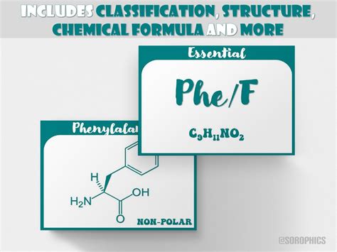 Organic Chemistry Flashcards Printable Chemistry Flashcards Amino