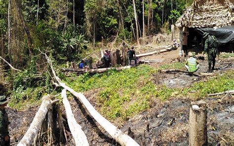 Indígenas denuncian secuestro de comunitarios y guardabosques Primer