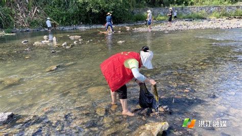 水清 岸绿 景美——大崇乡清河在行动乡镇动态洪江市新闻网