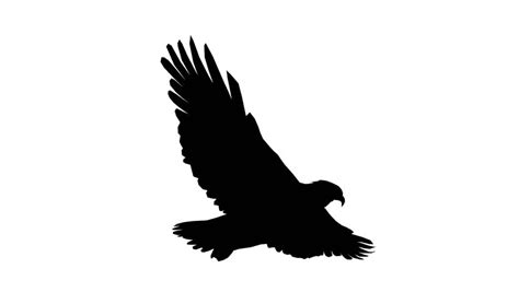 American Eagle Silhouette at GetDrawings | Free download