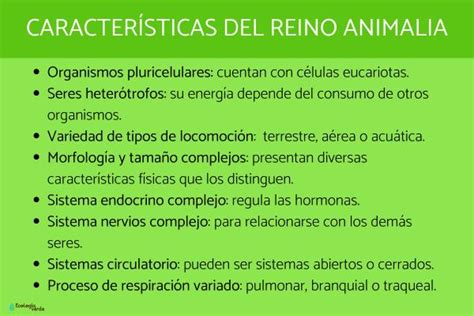 Conoce La Clasificación Características Y Ejemplos Del Reino Animal