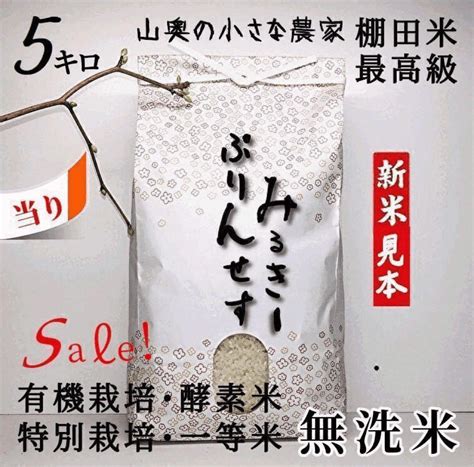 【74off】 令和4年新米 ミルキープリンセス 酵素米 玄米5kg「無洗米に精米」 Sixmatrixjp