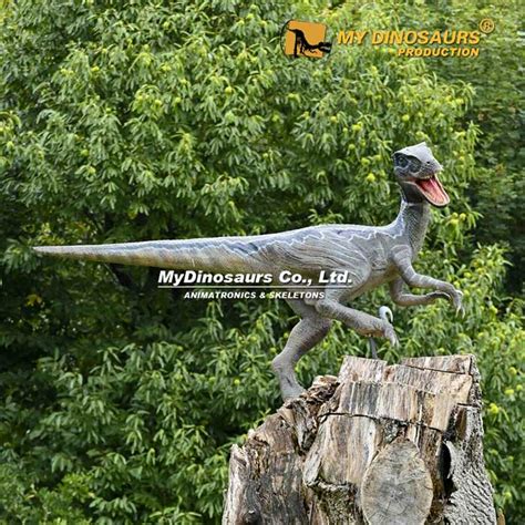 Ad 169 Dinosaur World Show Animatronic Velociraptor My Dinosaurs