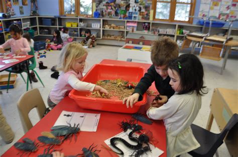 Students of all ages LOVE treasure hunts. For this activity students