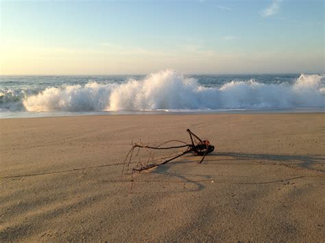 Free Images Beach Landscape Driftwood Sea Coast Water Nature