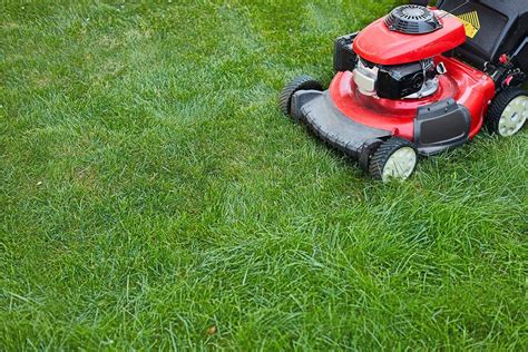 5 Best Honda Lawn Mowers - Haute Life Hub