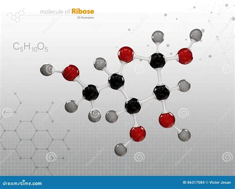 Ejemplo Del Blanco Aislado De La Estructura Molecular De La Ribosa