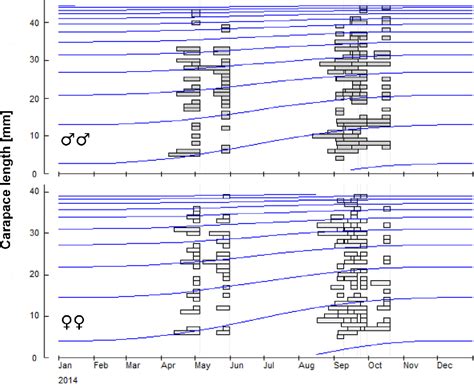 Figure 1 From Population Ecology Of Endangered White Clawed Crayfish