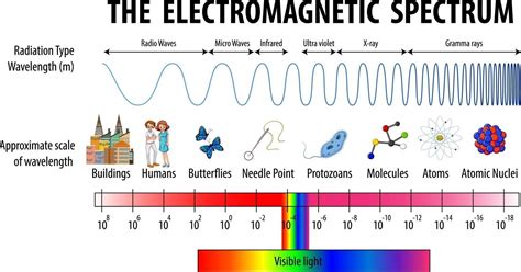 Science Electromagnetic Spectrum diagram | Electromagnetic spectrum ...