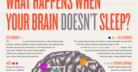 What Happens To Your Brain When You Dont Sleep Attn