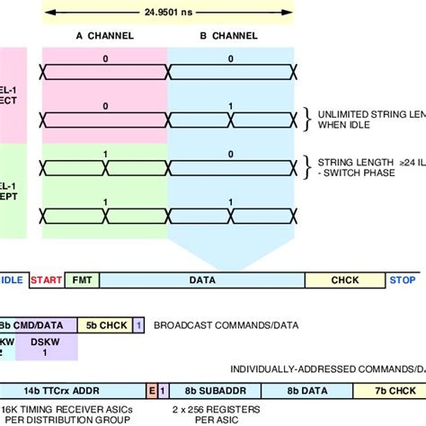 TTC transmitter elements | Download Scientific Diagram