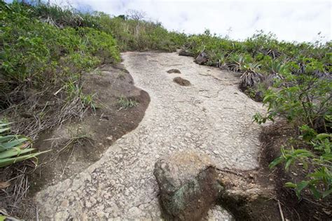 Hiking Pão de Açúcar (Sugarloaf Mountain) | Halfway Anywhere