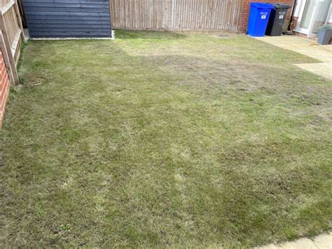 Lawn Care North Nottinghamshire Lawnscience Lawn Care North Notts