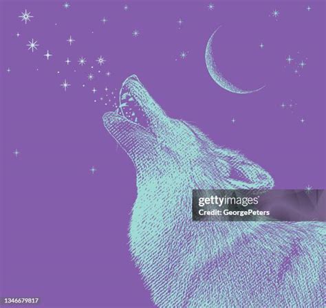 Wolf Eyes Night Photos and Premium High Res Pictures - Getty Images