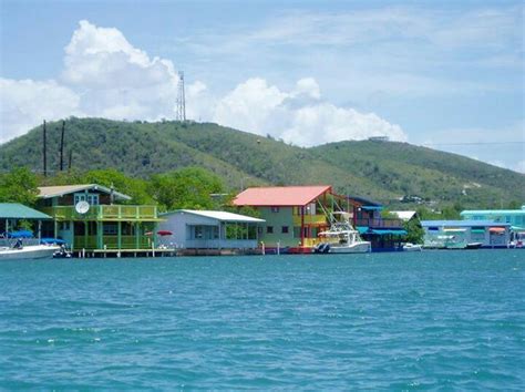 La Parguera Lajas Pr Puerto Rico Island Lajas Puerto Rico