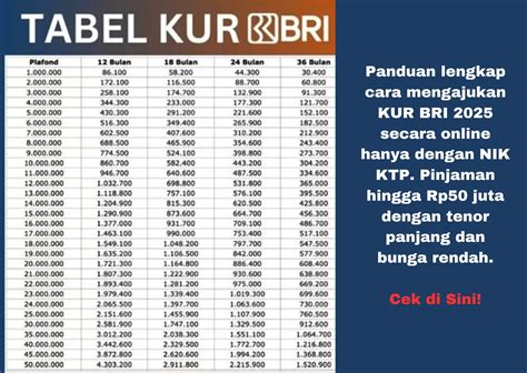 Tabel Pinjaman Kur Bri Cara Mengajukan Lewat Nik Ktp Proses