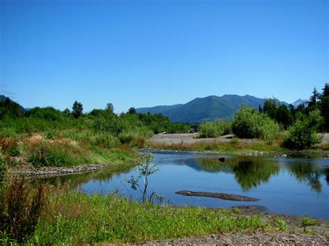 The Hoh River Valley by WinterWolf10 on DeviantArt