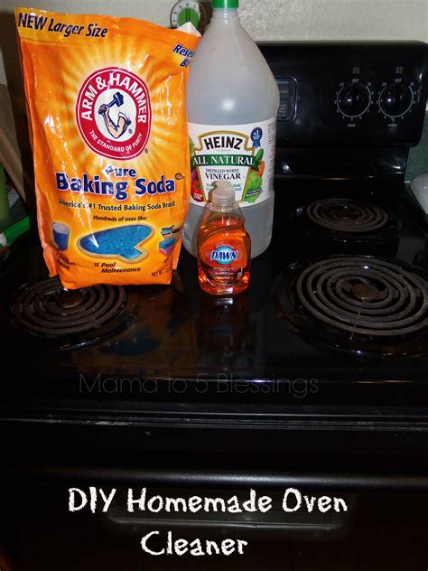 Diy Homemade Oven Cleaner Mama To 6 Blessings