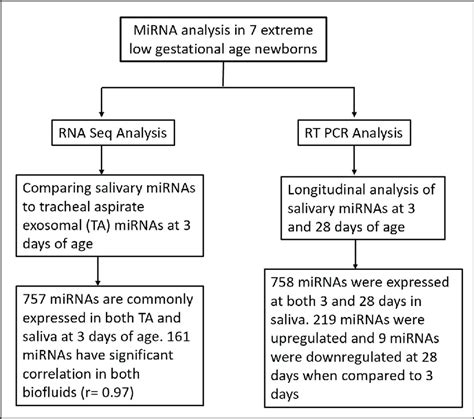 Flow Chart Illustrating Mirna Analysis Techniques And Time Points In