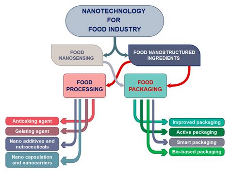 Bio Nanotechnology In Food Sciencefood Packaging