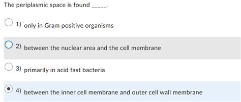 Solved The periplasmic space is foundonly in Gram positive | Chegg.com